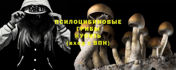 2c-b Надым