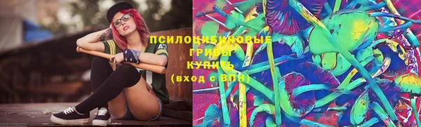 2c-b Надым