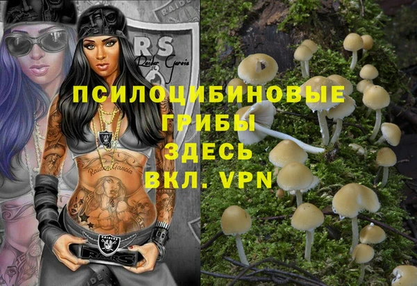 2c-b Надым