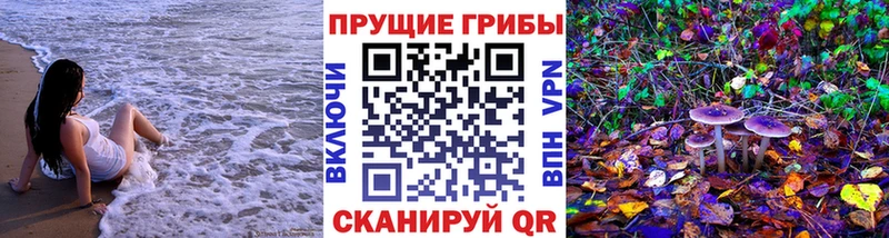 Псилоцибиновые грибы Cubensis  Поворино 