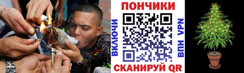 магазин продажи   Поворино  Конопля OG Kush 